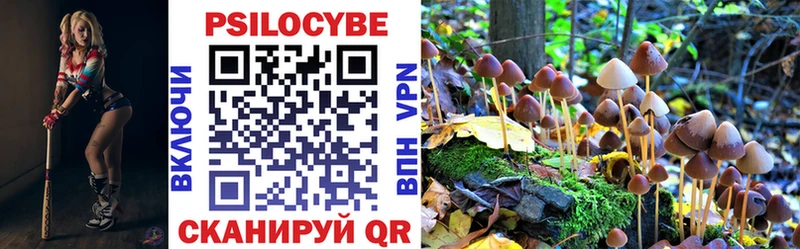 Галлюциногенные грибы Cubensis  купить наркотик  Северск 